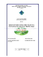 KHẢO sát KHẢ NĂNG CHỊU NGẬP của cỏ PASPALUM ATRATUM TRONG CHẬU 
