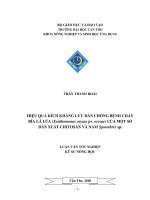 HIỆU QUẢ KÍCH KHÁNG lưu dẫn CHỐNG BỆNH CHÁY  bìa lá lúa (xanthomonas oryzae pv  oryzae) của một số dẫn XUẤT CHITOSANVÀ nấm sporothrix sp  