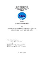 Báo cáo tài chính công ty cổ phần tập doàn thép tiến lên