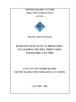ĐÁNH GIÁ NĂNG SUẤT và PHẨM CHẤT của 8 GIỐNG nếp MTL TRIỂN VỌNG tại đại học cần THƠ 