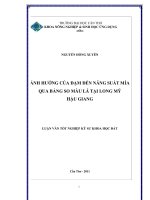 ẢNH HƯỞNG của đạm đến NĂNG SUẤT mía QUA BẢNG SO màu lá tại LONG mỹ hậu GIANG 
