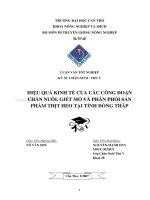 HIỆU QUẢ KINH tế của các CÔNG đoạn CHĂN NUÔI, GIẾT mổ và PHÂN PHỐI sản PHẨM THỊT HEO tại TỈNH ĐỒNG THÁP 