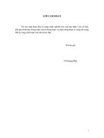 Theo dõi ảnh  hưởng của mật độ nuôi và chế độ cho ăn trên gà đẻ trứng thương phẩm isa  brown từ 6   11 tuần tuổi 