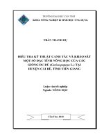 ĐIỀU TRA kỹ THUẬT CANH tác và KHẢO sát một số đặc TÍNH NÔNG học của các GIỐNG đu đủ (carica papaya l ) tại HUYỆN cái bè, TỈNH TIỀN GIANG 