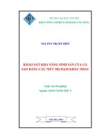 KHẢO sát KHẢ NĂNG SINH sản của gà SAO BẰNG các mức độ đạm KHÁC NHAU 