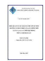 HIỆU QUẢ của các LOẠI GIÁ THỂ lên sự SINH TRƯỞNG và PHÁT TRIỂN của cúc ĐỒNG TIỀN (gerbera jamesonii) TRÊN hệ THỐNG THỦY CANH HOÀN lưu 