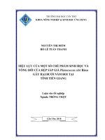 HIỆU lực của một số CHẾ PHẨM SINH học và VÒNG đời của rệp sáp GIẢ planococcus citri risso gây hại bưởi năm ROI tại TỈNH TIỀN GIANG 