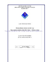 TÌNH HÌNH CHĂN NUÔI tại TRẠI HEO GIỐNG PHƯỚC THỌ   VĨNH LONG 