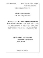 Đánh Giá Kết Quả Điều Trị Đau Thần Kinh Hông To Có Thoái Hóa Cột Sống Thắt Lưng Của Phác Đồ Tam Tý Thang Gia Giảm, Kết Hợp Với Điện Châm, Xoa Bóp, Bấm Huyệt