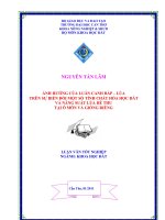 ẢNH HƯỞNG của LUÂN CANH bắp – lúa TRÊN sự BIẾN đổi một số TÍNH CHẤT hóa học đất và NĂNG SUẤT lúa hè THU tại ô môn và GIỒNG RIỀNG 