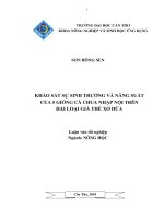 KHẢO sát sự SINH TRƯỞNG và NĂNG SUẤT của 5 GIỐNG cà CHUA NHẬP nội TRÊN HAI LOẠI GIÁ THỂ xơ dừa 