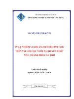 TỶ lệ NHIỄM VI KHUẨN ESCHERICHIA COLI TRÊN vịt còi cọc NUÔI tại HUYỆN THỐT nốt, THÀNH PHỐ cần THƠ 