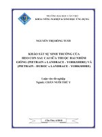KHẢO sát sự SINH TRƯỞNG của HEO CON SAU CAI sữa THUỘC HAI NHÓM GIỐNG (PIETRAIN x LANDRACE   YORKSHIRE) và (PIETRAIN   DUROC x LANDRACE   YORKSHIRE) 
