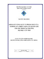 KHẢO sát NĂNG SUẤT và PHẨM CHẤT của 15 DÒNG lúa TRIỂN VỌNG có NGUỒN gốc CHA mẹ THƠM tại TRƯỜNG đại học cần THƠ 