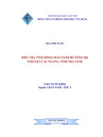 ĐIỀU TRA TÌNH HÌNH CHĂN NUÔI bò NÔNG hộ ở HUYỆN cầu NGANG, TỈNH TRÀ VINH 