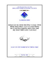 KHẢO sát sự SINH TRƯỞNG và đặc TÍNH HÌNH THÁI THỰC vật của HAI DÒNG QUÝT ĐƯỜNG KHÔNG hột ở BA THẾ hệ THÁP TRÊN gốc CAM mật 