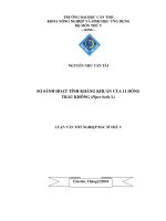 SO SÁNH HOẠT TÍNH KHÁNG KHUẨN của 11 DÒNG TRẦU KHÔNG (piper betle l) 