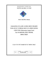 ẢNH HƯỞNG của LIỀU LƯỢNG PHÂN NPK đến NĂNG SUẤT và PHẨM CHẤT của NHÃN XUỒNG cơm VÀNG (dimocarpuslongan lour) tại AN KHÁNH, CHÂU THÀNH, ĐỒNG THÁP 