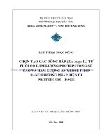 CHỌN tạo các DÒNG bắp (zea mays l ) tự PHỐI có hàm LƯỢNG PROTEIN TỔNG số CAO và hàm LƯỢNG AMYLOSE THẤP BẰNG PHƯƠNG PHÁP điện DI PROTEIN SDS – PAGE 