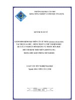 GIÁM ĐỊNH BỆNH hại TRÊN cây sứ THÁI tại THỊ xã SA đéc – ĐỒNG THÁP và THỬ NGHIỆM HIỆU QUẢ của VI KHUẨN đối KHÁNG và THUỐC hóa học đối với BỆNH THỐI NHŨN TRONG điều KIỆN PHÒNG THÍ NGHIỆM 