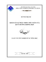 KHẢO sát sự PHÁT TRIỂN TIỂU NOÃN của QUÝT ĐƯỜNG KHÔNG hột 