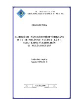 ĐÁNH GIÁ KHẢ NĂNG KÍCH THÍCH TÍNH KHÁNG đối với BỆNH lùn XOẮN lá DO xử lý bởi cucl 2+ K2HPO4VÀ K2HPO4 TRÊN GIỐNG lúa OMCS 2517 