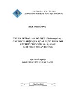 THUẦN DƯỠNG LAN hồ điệp cấy mô và HIỆU QUẢ sự áp DỤNG PHÂN dơi kết hợp PHÂN NPK 30   10   10 SAU GIAI đoạn THUẦN DƯỠNG 