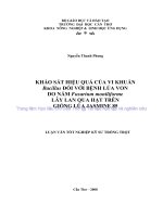 KHẢO sát HIỆU QUẢ của VI KHUẨN bacillus đối với BỆNH lúa VON DO nấm fusarium moniliforme lây LAN QUA hạt TRÊN GIỐNG lúa JASMINE 85 