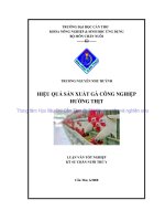 HIỆU QUẢ sản XUẤT gà CÔNG NGHIỆP HƯỚNG THỊT 