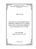 ẢNH HƯỞNG của SILVER THIOSULPHATE, NHIỆT độ và THỜI GIAN xử lý LẠNH đến CHẤT LƯỢNG và TUỔI THỌ cắm BÌNH của HOA LAN dendrobium sonia cắt CÀNH 