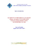 XÁC ĐỊNH tỷ lệ THÍCH hợp của cây dã QUỲ (tithonia diversifolia) và cây môn nước (colocasia esculenta) ở DẠNG ủ CHUA tại THÀNH PHỐ cần THƠ 