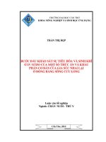 BƯỚC đầu KHẢO sát sự TIÊU hóa và SINH KHÍ ở IN VITRO của một số THỨC ăn và KHẨU PHẦN cơ bản của GIA súc NHAI lại ở ĐỒNG BẰNG SÔNG cửu LONG 