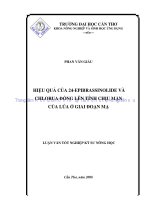 HIỆU QUẢ của 24   EPIBRASSINOLIDE và CHLORUA ĐỒNG lên TÍNH CHỊU mặn của lúa ở GIAI đoạn mạ 
