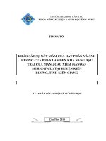 KHẢO sát sự nẩy mầm của hạt PHẤN và ẢNH HƯỞNG của PHÂN lân đến KHẢ NĂNG đậu TRÁI của MÃNG cầu XIÊM (ANNONA MURICATA l ) tại HUYỆN KIÊN LƯƠNG, TỈNH KIÊN GIANG 