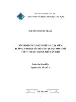XÁC ĐỊNH các LOÀI VI KHUẨN gây VIÊM ĐƯỜNG SINH dục ở CHÓ cái tại một số cơ sở THÚ y THUỘC THÀNH PHỐ cần THƠ 