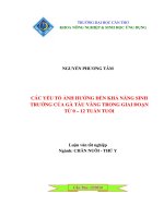 CÁC yếu tố ẢNH HƯỞNG đến KHẢ NĂNG SINH TRƯỞNG của gà tàu VÀNG TRONG GIAI đoạn từ 0 – 12 TUẦN TUỔI 