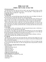 dạy học theo chủ đề cầu long biên chứng nhân lịch sử