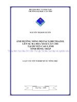ẢNH HƯỞNG NỒNG độ PACLOBUTRAZOL lên sự RA HOA XOÀI cát CHU tại HUYỆN CAO LÃNH TỈNH ĐỒNG THÁP 
