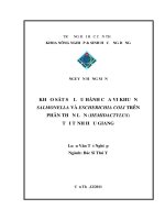 KHẢO sát sự lưu HÀNH của VI KHUẨN SALMONELLAVÀ ESCHERICHIA COLITRÊN PHÂNTHẰN lằn (HEMIDACTYLUS) tại TỈNH hậu GIANG 