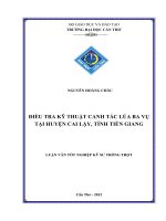 ĐIỀU TRA kỹ THUẬT CANH tác lúa BA vụ tại HUYỆN CAI lậy, TỈNH TIỀN GIANG 