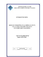 KHẢO sát ẢNH HƯỞNG của lá ĐÒNG (lá cờ)và các lá CÔNG NĂNG đến NĂNG SUẤT lúa ở điều KIỆN NGOÀI ĐỒNG 