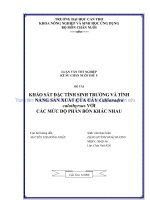 KHẢO sát ðặc TÍNH SINH TRƯỞNG và TÍNH NĂNG sản XUẤT của cây callianadra calothyrsus với các mức độ PHÂN bón KHÁC NHAU 