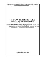 Nghề 8  nuôi, phòng trị bệnh cho gia cầm