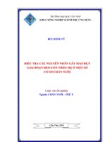 ĐIỀU TRA các NGUYÊN NHÂN gây HAO hụt GIAI đoạn HEO CON THEO mẹ ở một số cơ sở CHĂN NUÔI 