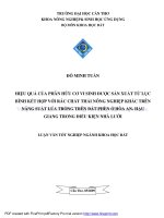 HIỆU QUẢ của PHÂN hữu cơ VI SINH được sản XUẤT từ lục BÌNH kết hợp với rác CHẤT THẢI NÔNG NGHIỆP KHÁC TRÊN NĂNG SUẤT lúa TRỒNG TRÊN đất PHÈN ở hòa AN   hậu GIANG TRONG điều KIỆN NHÀ lưới 