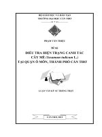 ĐIỀU TRA HIỆN TRẠNG CANH tác cây mè (sesamum indicum l ) tại QUẬN ô môn, THÀNH PHỐ cần THƠ 