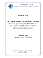 SO SÁNH sự SINH TRƯỞNG của bốn GIỐNG SEN (nelumbo nucifera gaertn ) và ẢNH HƯỞNG của PACLOBUTRAZOL lên CHIỀU CAO của cây SEN TRỒNG TRONG CHẬU 