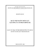 Quản trị nguồn nhân lực tại Công ty Cổ phần Hồng Hà (Luận văn thạc sĩ)