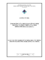 ẢNH HƯỞNG của ORYZALIN lên sự SINH TRƯỞNG và PHÁT TRIỂN của CHỒI KHOAI mỡ (dioscorea alata l ) 