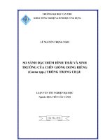 SO SÁNH đặc điểm HÌNH THÁI và SINH TRƯỞNG của CHÍN GIỐNG DONG RIỀNG (canna spp ) TRỒNG TRONG CHẬU 